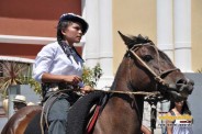 Desfile Caballos 032